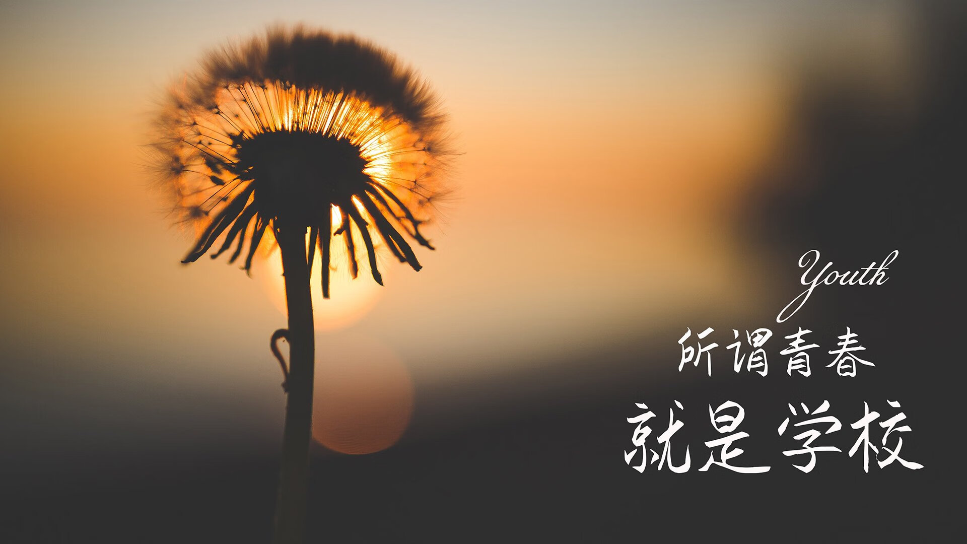 未来“欧洲王者”悬念：哪个队伍走到最后？，未来欧洲会崛起吗