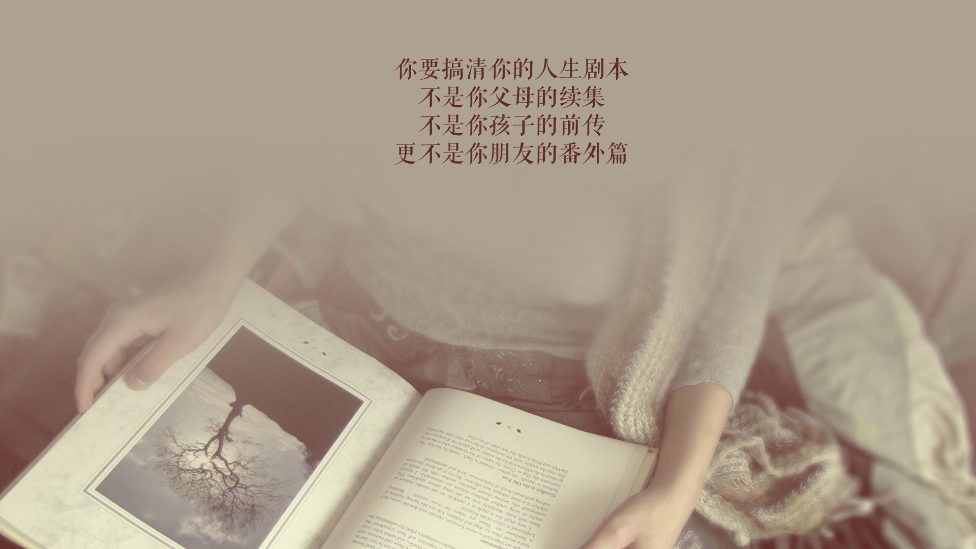 球场荣耀：那些屹立不倒的传奇人物，球场风云荣耀征程