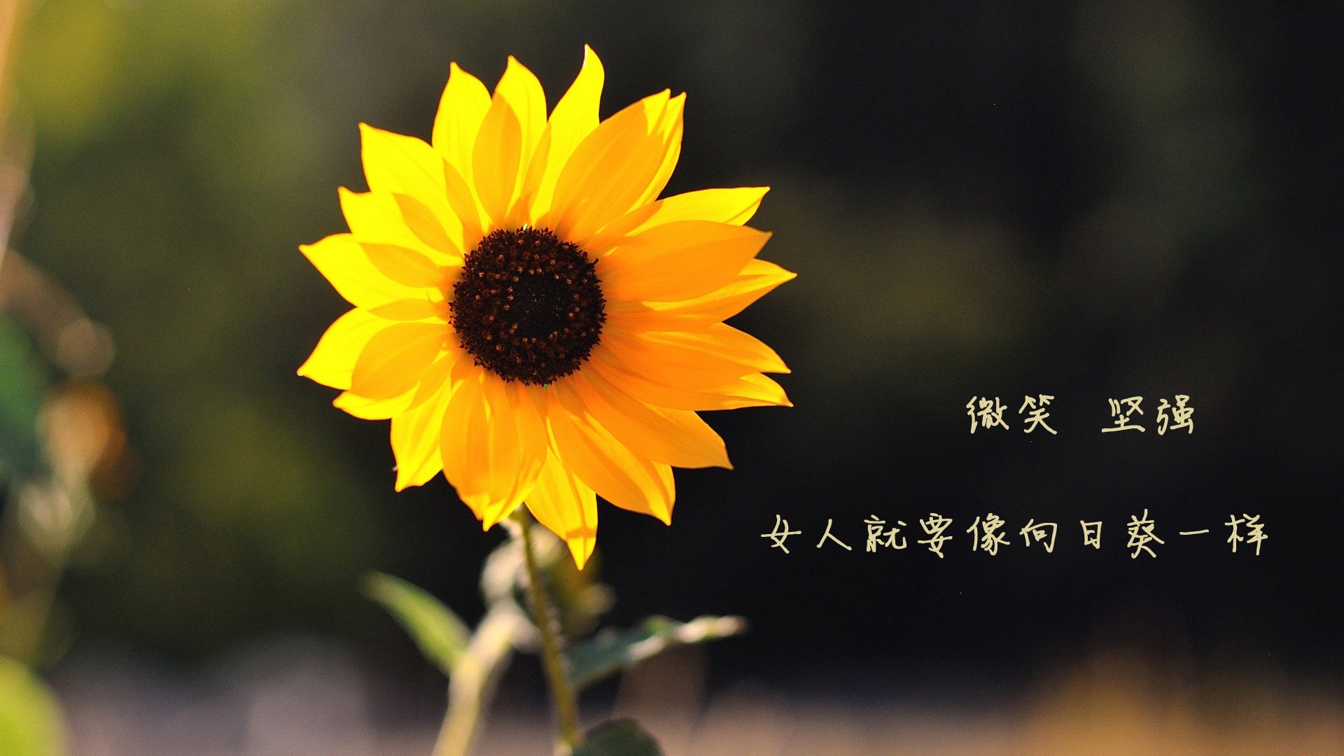 九游网页版官网入口-勇士队伤病潮汹涌，季后赛形势岌岌可危，勇士队新赛季