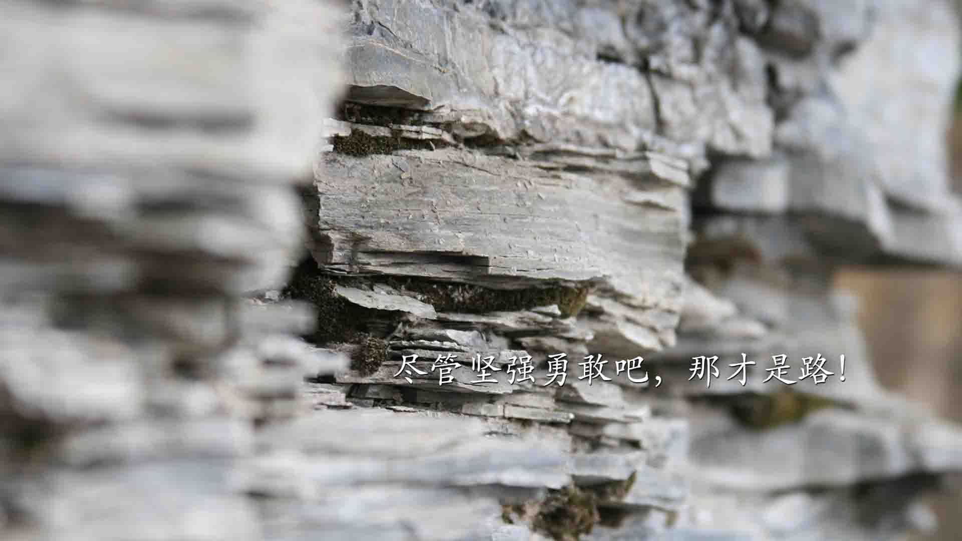 战队实力排名最新动态，战队排行