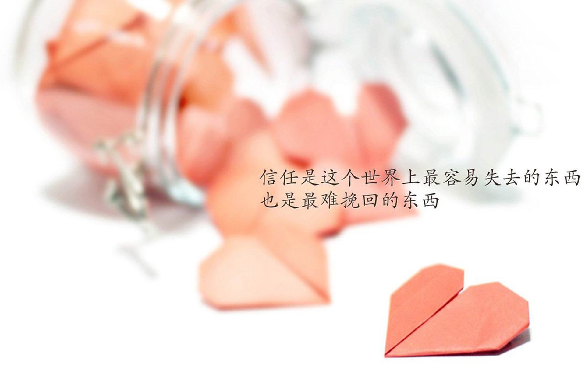 中国篮球职业俱乐部青训体系构建与实践，青年篮球训练机构