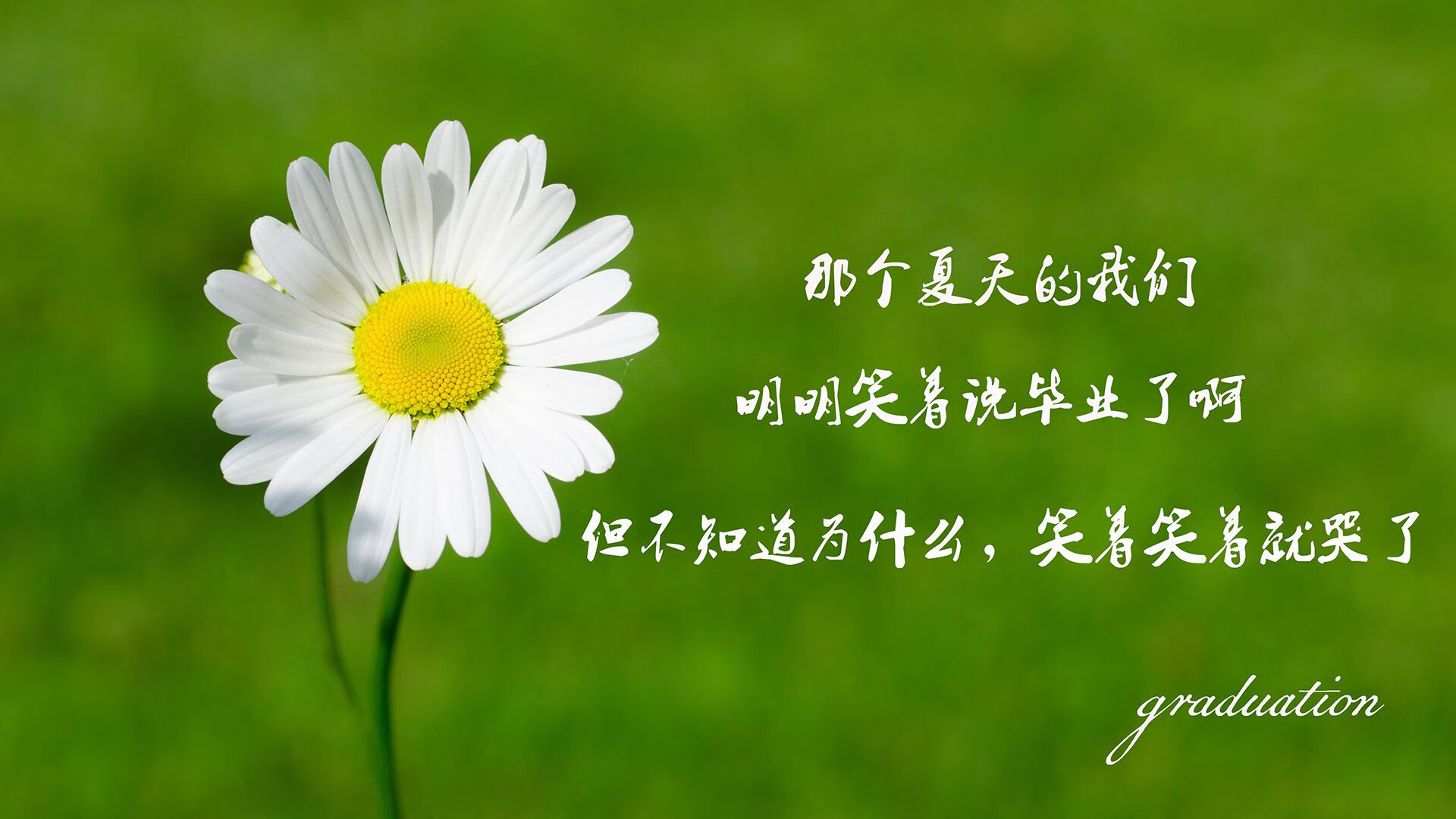 高校体育场馆运营管理创新，高校体育场馆运营管理创新方案