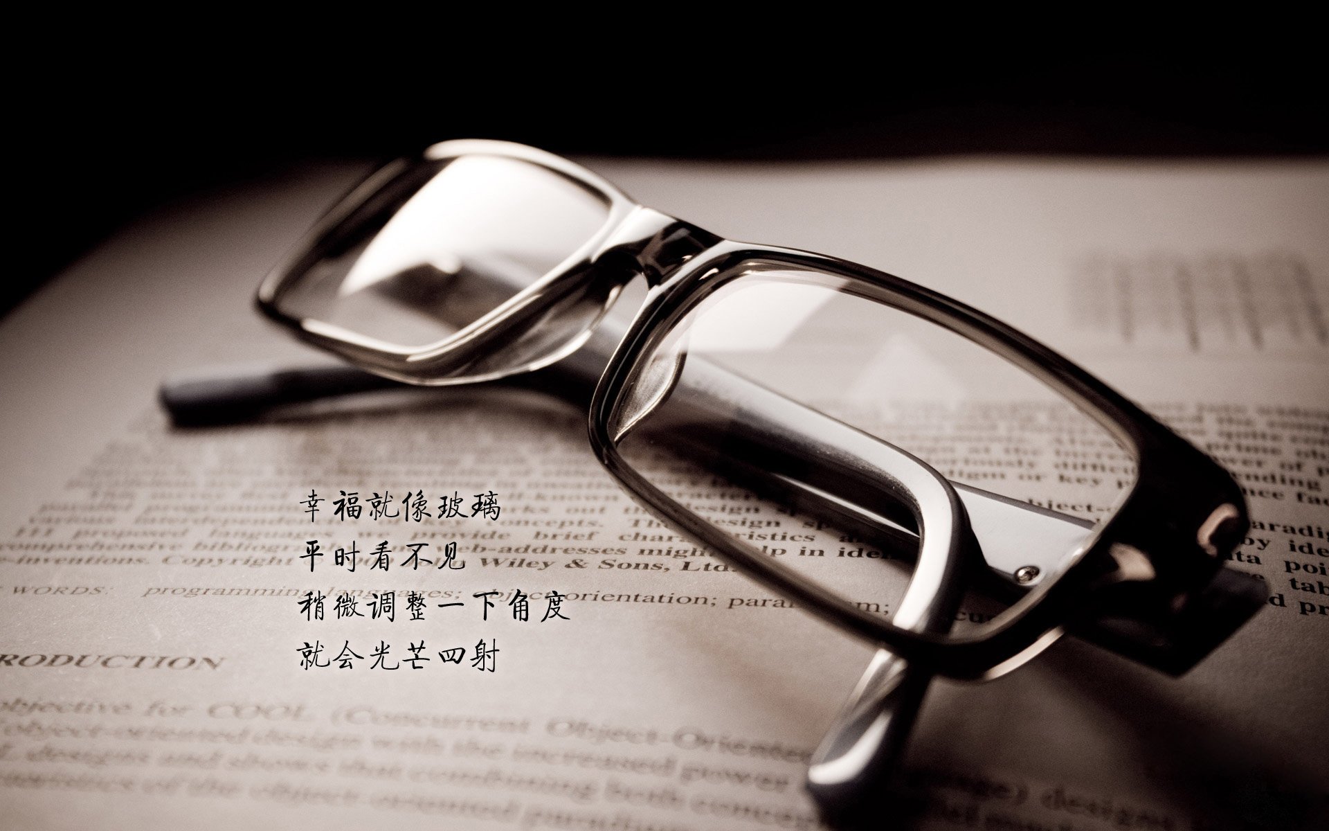 “2025滑轮赛：新生代选手的惊艳表现引爆全场”