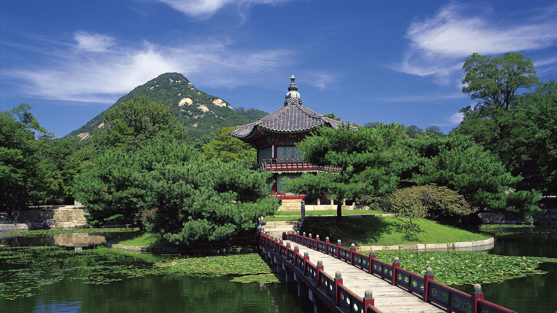 -基层足球教练培训体系不健全，基层足球教练培训体系不健全怎么办