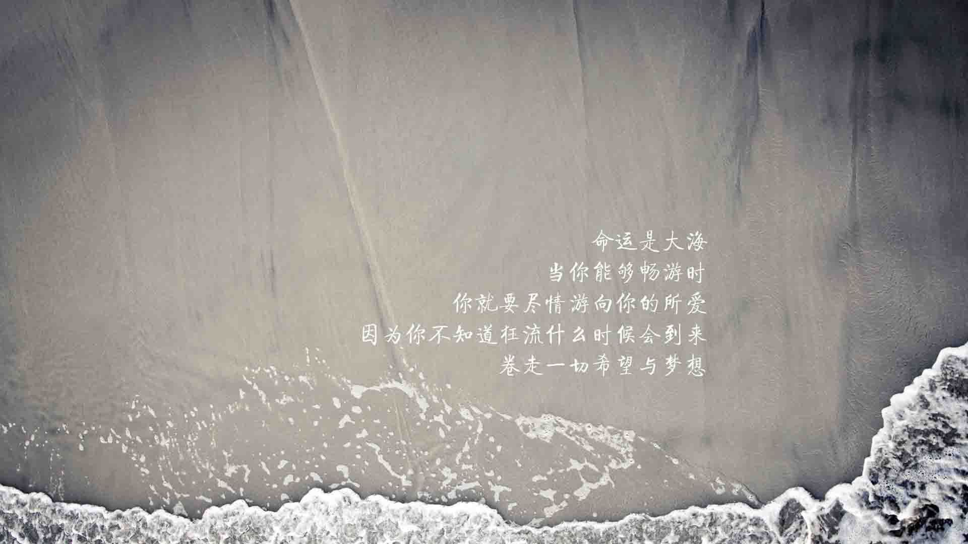 新赛季球员注册流程全面无纸化操作，球员注册信息
