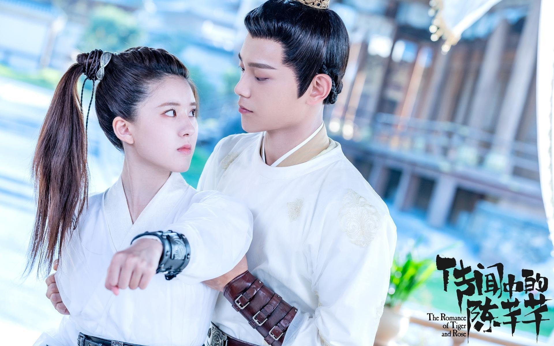 美洲杯狂热战场:明星盛放,精彩由你!,美洲杯现场观众
